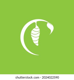 Cocoon icon and symbol vector template illustration