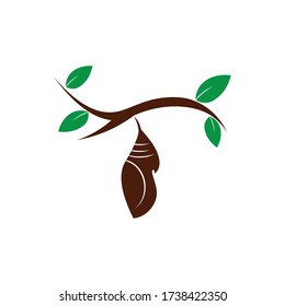 Cocoon Illustration Logo Vector Design