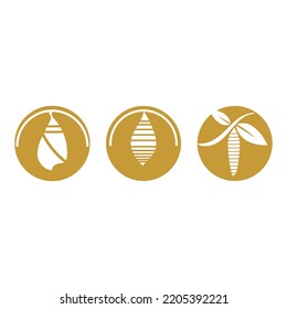 Cocoon illustration logo vector design