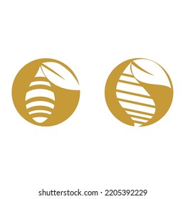 Cocoon illustration logo vector design