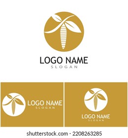 Cocoon illustration logo vector design