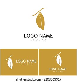 Cocotta-Logo, Vektordesign