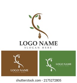 Cocoon logo template vector icon illustration design