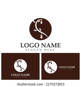Cocoon logo template vector icon illustration design