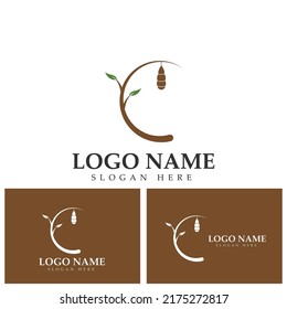 Cocoon logo template vector icon illustration design