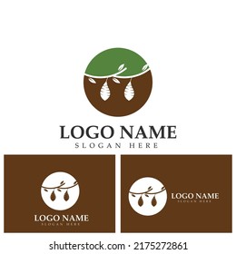 Cocoon logo template vector icon illustration design