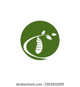 Cocoon logo vector illustration design template