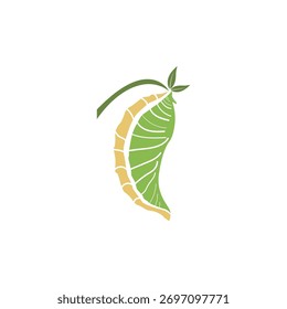 Cocoon logo vector illustration design template