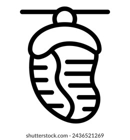 Cocoon maturation icon outline vector. Biology cocooning stage. Butterfly insect transformation