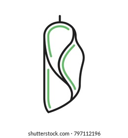 Cocoon, metamorphosis, insect