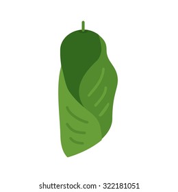 Cocoon, metamorphosis, insect icon vector image. Can also be used for Animals and Insects. Suitable for mobile apps, web apps and print media.