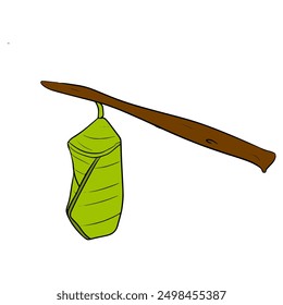 cocoon on the tree illustration hand drawn isolated vector