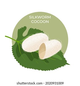Cocoon. A silkworm pupa on a green leaf of a mulberry tree. This is great as a learning tool . Vector illustration, isolated.