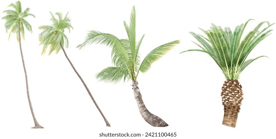 Cocos nucifera,Cocos nucifera,Cocos nucifera,Phoenix canariensis Trees collection with realistic style
