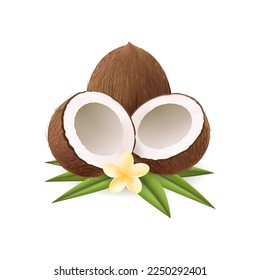 Cocos nuts. Realistic coconuts half whole with leaves and flower, vector brown coconut objects isolated for natural cosmetic, vitamins vector illustrated graphic