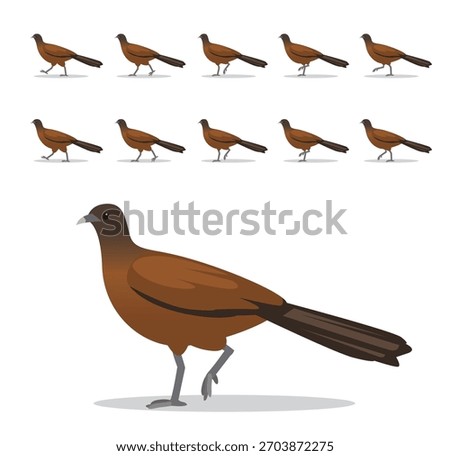Cocrico Rufous-Vented Chachalaca Bird Walking Animation Vector