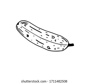 Cocumber vector illustration in Doodle style. Black outline, isolated image on a white background. For menu design, printed products.