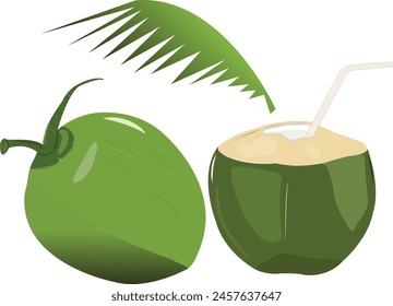 COCUNUT- COCONUT TENDER ILLUSTRATION WHITE BACKGROUND