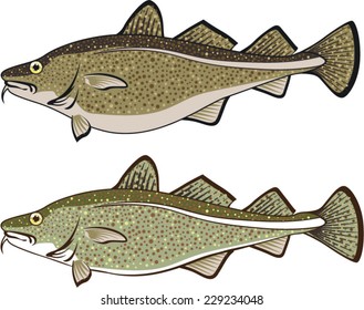 Cod Fish