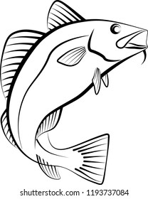 cod fish - clip art illustration