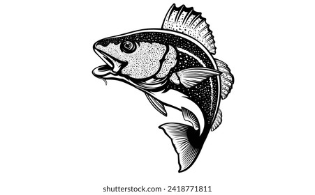 Cod fish logo design. Cod fish emblem. Fishing theme illustration. Fish Isolated on white.