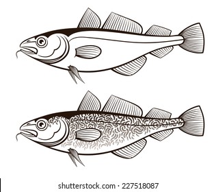 Download Atlantic Cod Fish Images, Stock Photos & Vectors ...