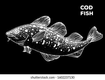 Cod fish sketch. Hand drawn vector illustration. Seafood design element for packaging. Engraved style illustration. Can used for packaging design. Cod fish label.