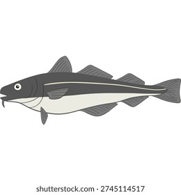 Cod Fish (Tara) Illustration Isolated on White Background Vector Seafood Clipart