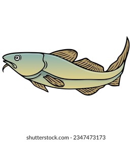 cod fish vector illustration,isolated on white background,top view