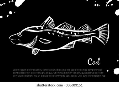 Cod. Vector isolated illustration. Ink. Hand drawn