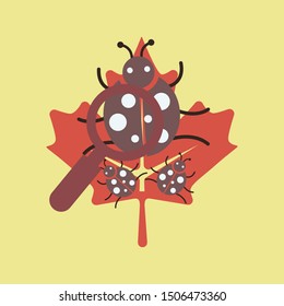 Code bug concept. Vector bug in the system. Bug searching. Vector illustration