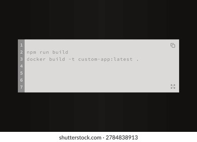 code editor window and terminal ui component vector template featuring custom build commands, line numbers, clean development container block, and minimal icons for web apps.