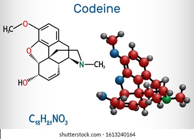 Codeine, opioid analgesic molecule. It is used as a central analgesic, sedative, hypnotic, antinociceptive, antiperistaltic agent. Structural chemical formula and molecule model. Vector illustration
