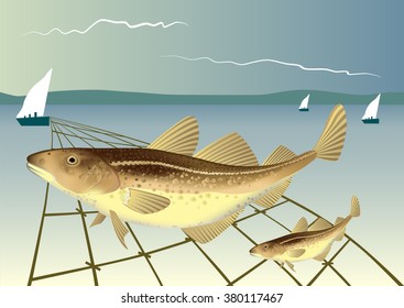 Codfish fish on a background of ocean.Vector illustration
