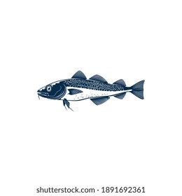 Pescado de pescado de agua dulce aislado icono monocromo. Vector europeo, Balkhash o perca amarilla, animal de río o lago, Walleye Zander o scumbidae de agua salada. Mascota deportiva de pesca