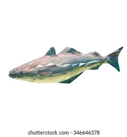 Codfish in low polygon style on white background, vector illustration