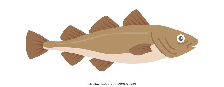 Pescado de pescado del mar de bacalao. Ilustración del vector