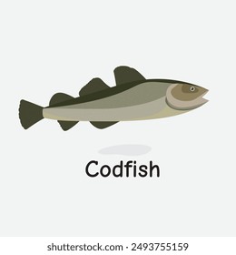 Codfish Vector Illustration: Popular Edible Marine Fish