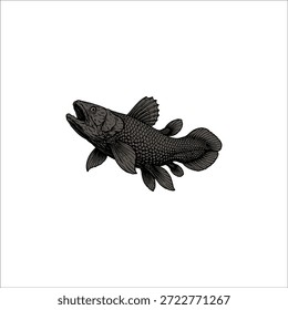 Coelacanth pescado dibujado a mano ilustración ilustración