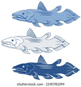 Coelacanth fish vector design, deep sea finfish, sport fishing fish