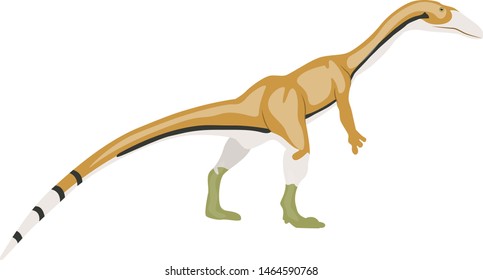 Coelophysis, illustration, vector on white background.