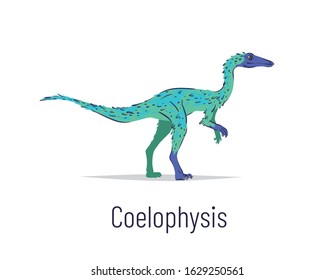 Coelophysis. Theropoda dinosaur. Colorful vector illustration of prehistoric creature coelophysis in hand drawn flat style isolated on white background. Predatory fossil dinosaur.