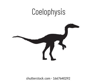 Coelophysiss. Theropoda dinosaur. Monochrome vector illustration of black silhouette of prehistoric creature coelophysis isolated on white background. 