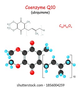 Coenzyme Q10. Chemical structural formula and model of  molecule of ubiquinone. Vector Illustration