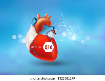 Coenzyme Q10. Healthy Heart. Concept .The Volumetric Image Of The Heart With Polygonal Mesh Elements On A Blue Background.