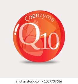 Coenzyme Q10. Substance For Maintaining Cardiac Activity. Basics Of A Healthy Lifestyle.