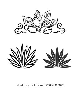 Coffee, agave plants. Hand Drawn vector illustrations for loges