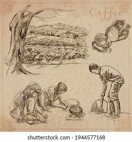 COFFEE. Agriculture. Life of a farmer. Coffee harvesting and processing. Collection of an hand drawing illustrations. Pack of vector illustrations, line art. Set of freehand sketches.