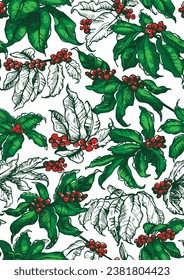 Coffee background. Branches with leaves and berries. Seamless Vector Illustration. Botanical line art. Foliage with fruits. Vector hand-sketched old book style artwork. 