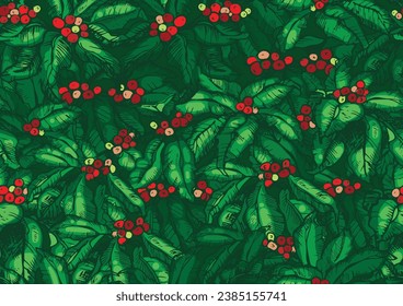 Coffee background. Branches with leaves and berries. Seamless Vector Illustration. Botanical line art. Foliage with fruits. Vector hand-sketched old book style artwork. 